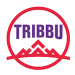 Cliente Pulsate Media